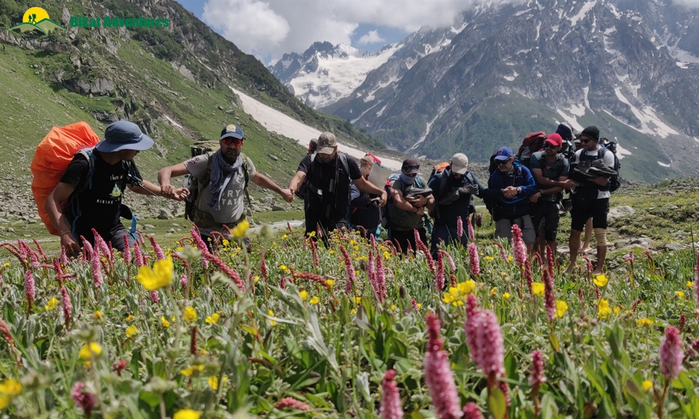  All Things Bright And Beautiful – A Photo Story Of Pin Bhaba Pass Trek