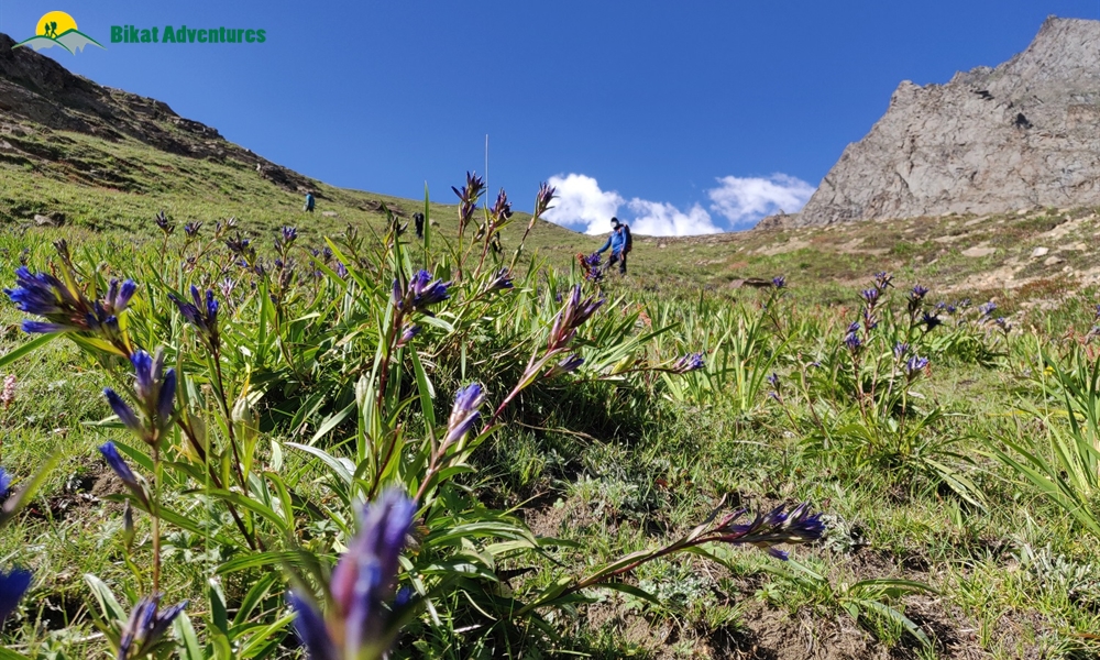 Mt. Nun - 7,135 Meters Of Cold Mess: A Photo Story