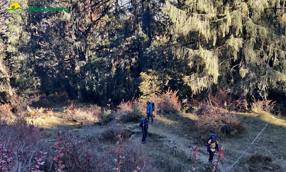 Highlights Of Pangarchulla Peak