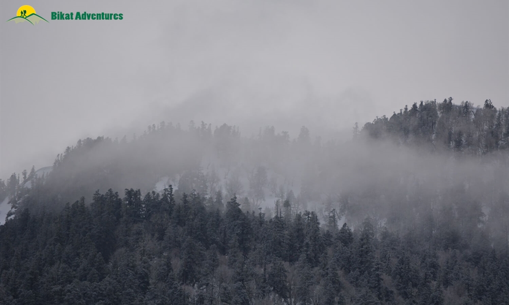 Highlights Of Pangarchulla Peak