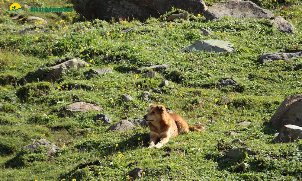 Highlights Of Kashmir Great lakes