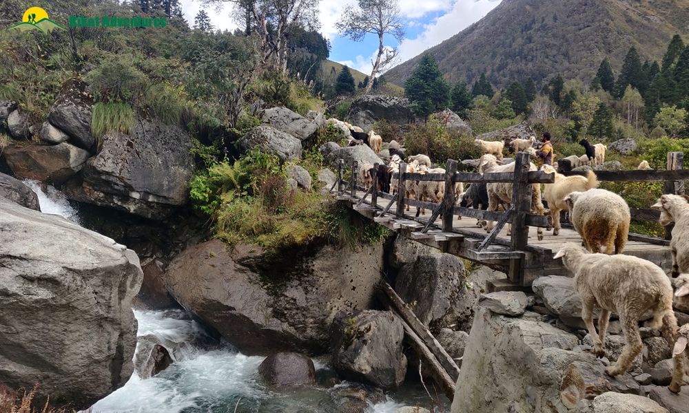 A Trek ‘on The Rocks’ – Photo Story Of Borasu Pass