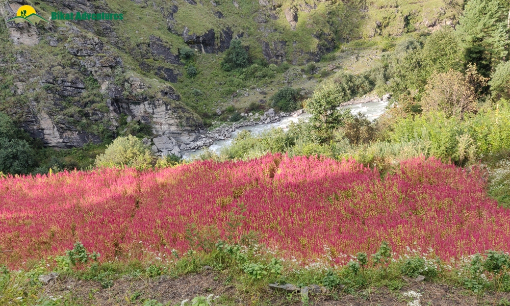 A Trek ‘on The Rocks’ – Photo Story Of Borasu Pass