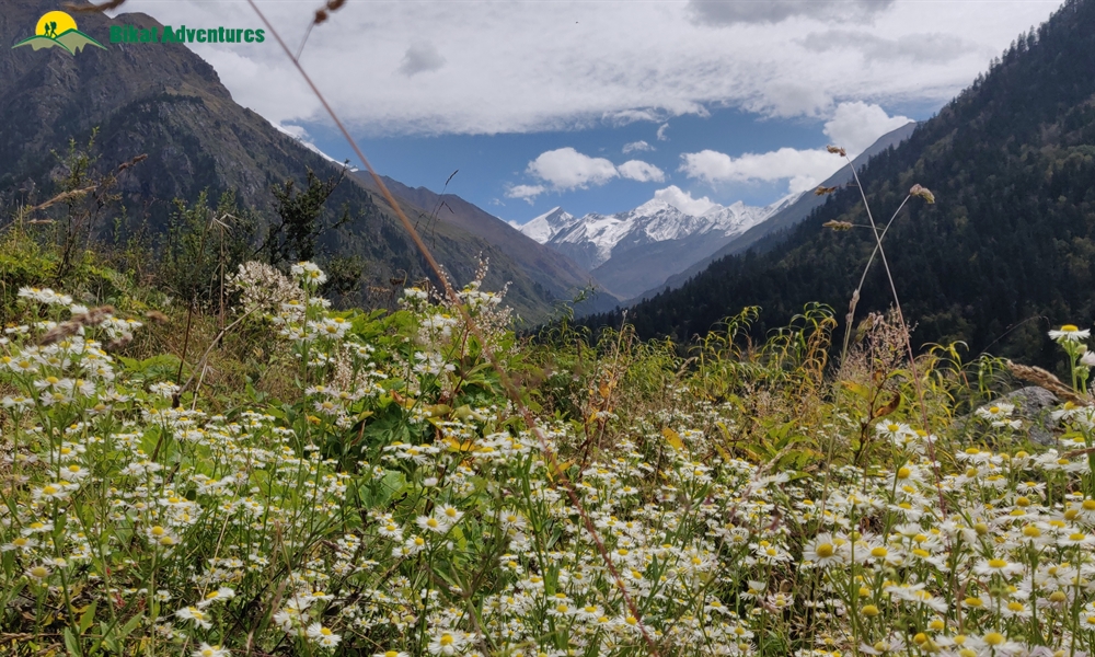A Trek ‘on The Rocks’ – Photo Story Of Borasu Pass