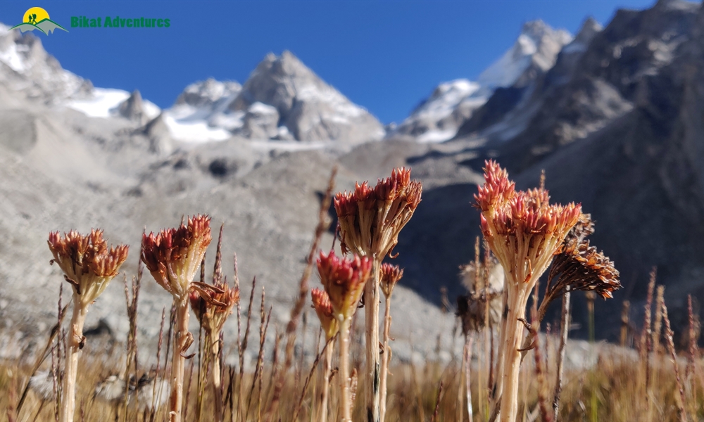A Trek ‘on The Rocks’ – Photo Story Of Borasu Pass
