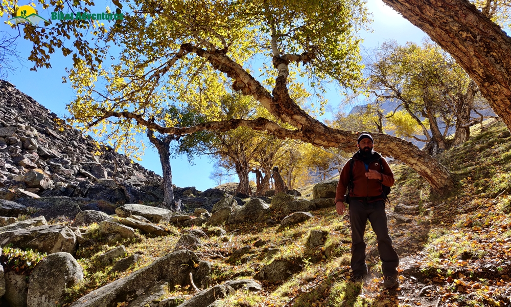 A Trek ‘on The Rocks’ – Photo Story Of Borasu Pass