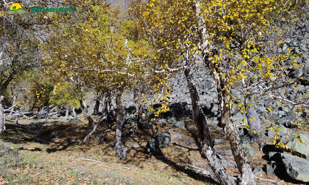 A Trek ‘on The Rocks’ – Photo Story Of Borasu Pass