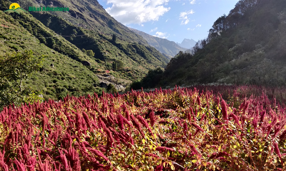 Highlights Of Borasu Pass
