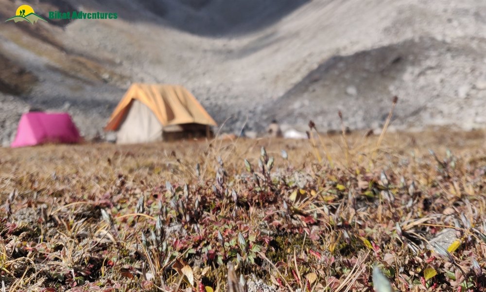 Highlights Of Borasu Pass