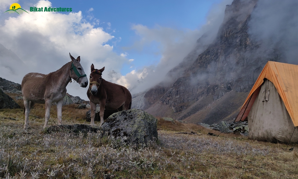 Highlights Of Borasu Pass