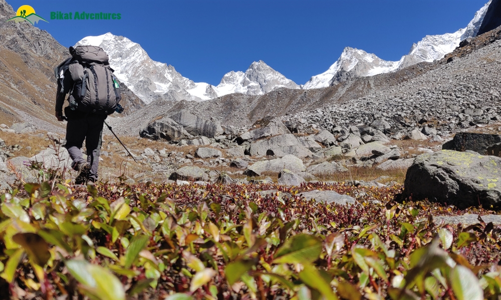 Highlights Of Borasu Pass