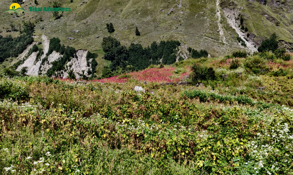 Borasu Pass: Who Is This Trek Meant For?