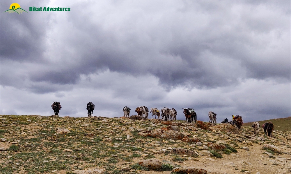 Dzo Jongo (West): Who Is This Trek Meant For