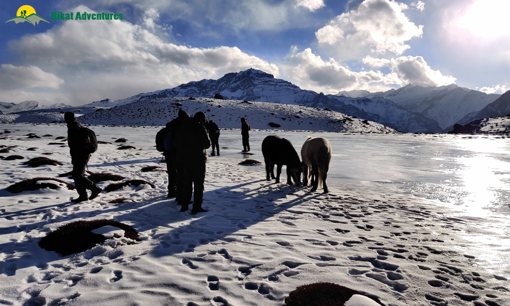 A Mesh of Culture and Beauty: Photo Story of Spiti Winter Homestay Trail 