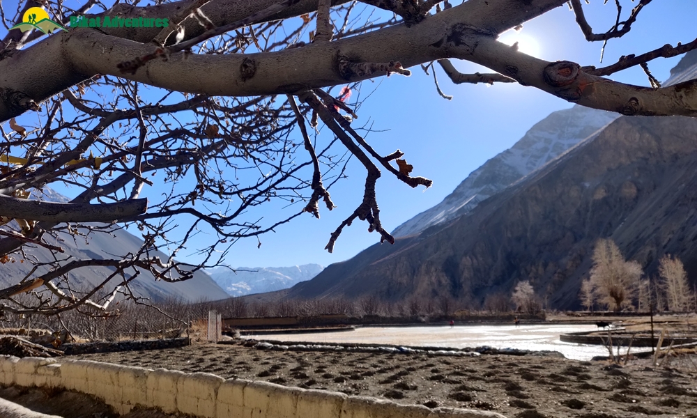A Mesh of Culture and Beauty: Photo Story of Spiti Winter Homestay Trail 