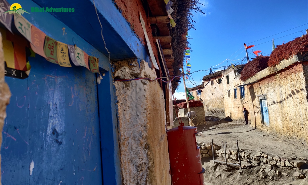 A Mesh of Culture and Beauty: Photo Story of Spiti Winter Homestay Trail 
