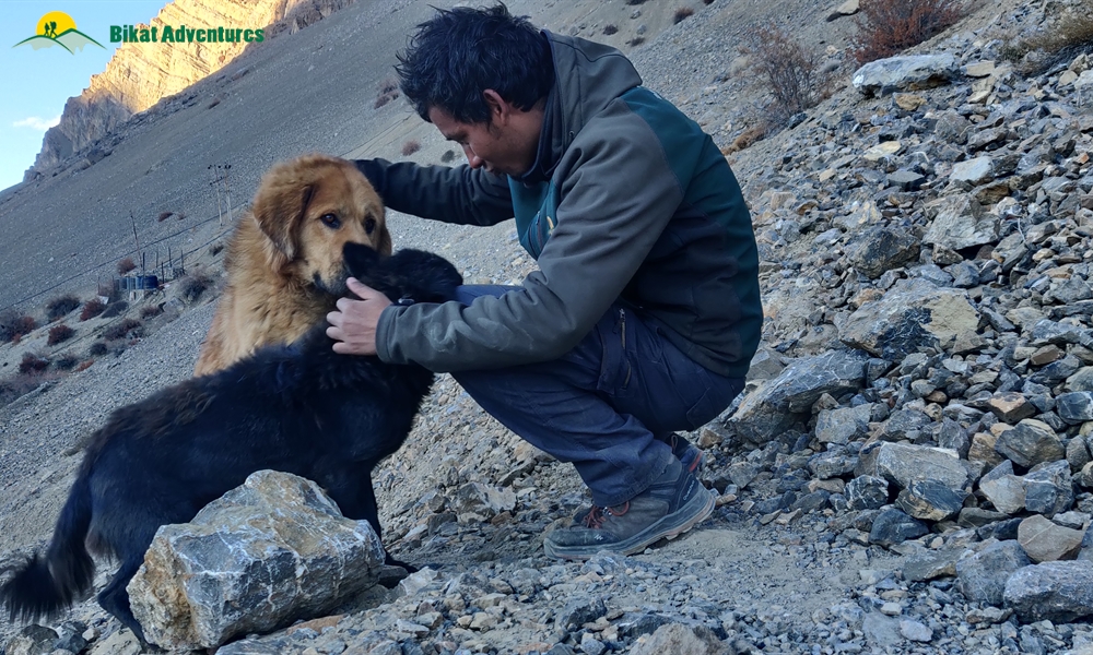 A Mesh of Culture and Beauty: Photo Story of Spiti Winter Homestay Trail 