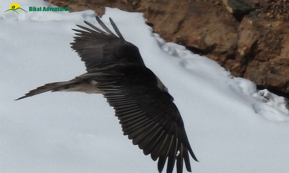 A Mesh of Culture and Beauty: Photo Story of Spiti Winter Homestay Trail 