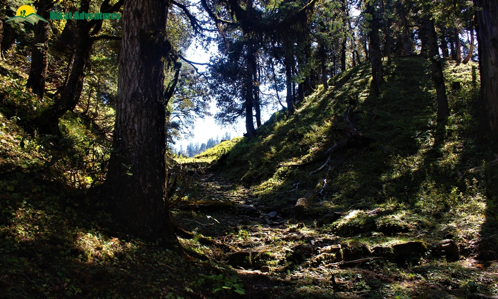 Phulara Ridge Trek – A Photo Story