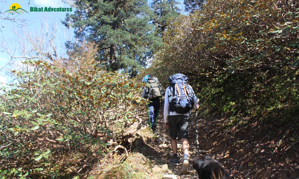 Phulara Ridge: Who is This Trek Meant For?