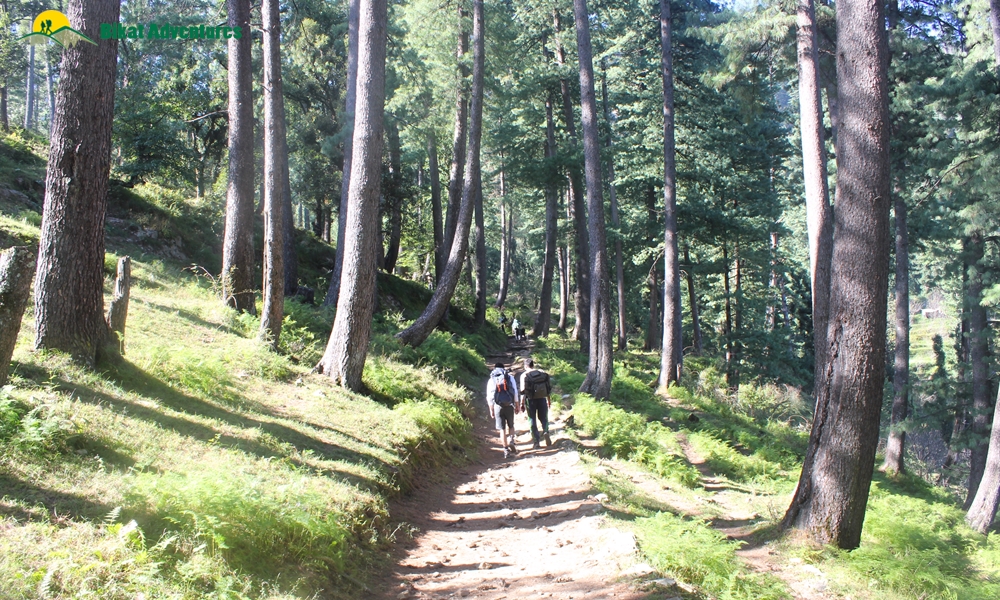 Highlights of Phulara ridge
