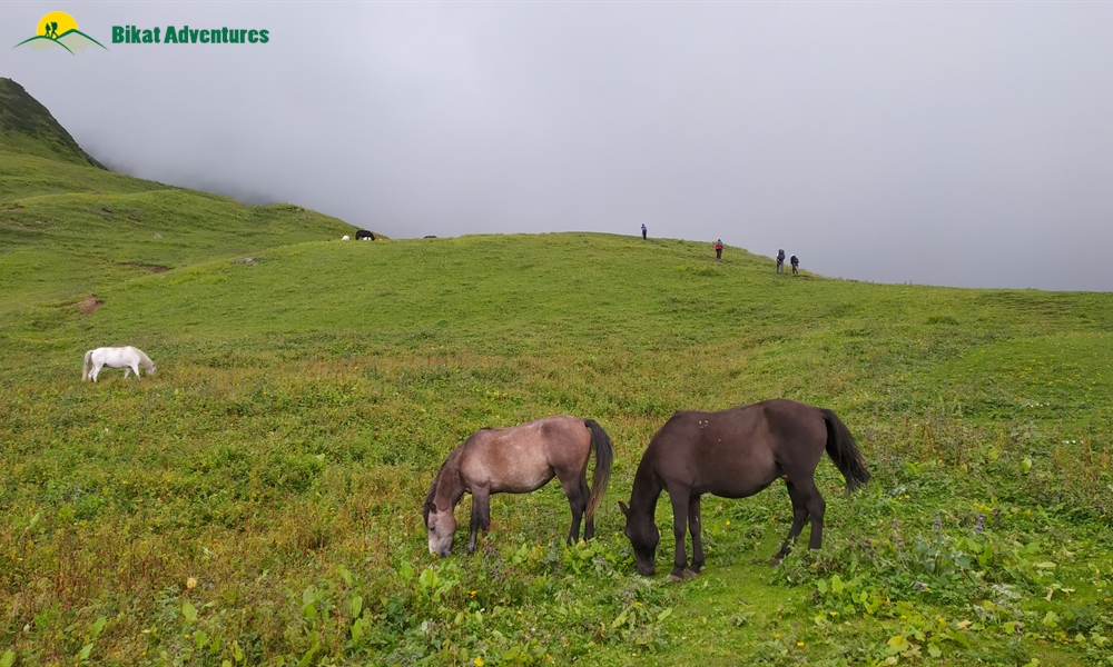 Highlights Of Bhrigu Lake Trek