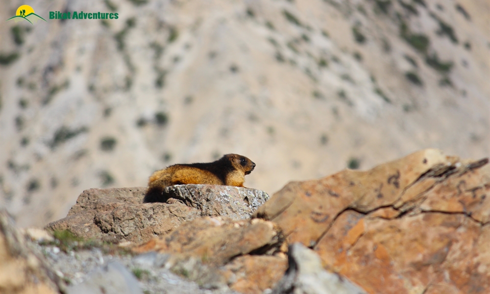 Warwan Valley – A Personal Story!