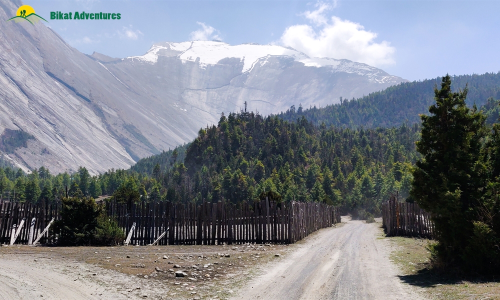 OUT, ABOUT and AROUND the ANNAPURNA MASSIF: A PHOTO STORY