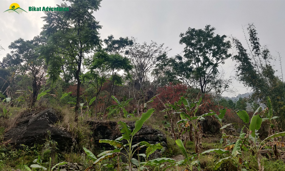 OUT, ABOUT and AROUND the ANNAPURNA MASSIF: A PHOTO STORY
