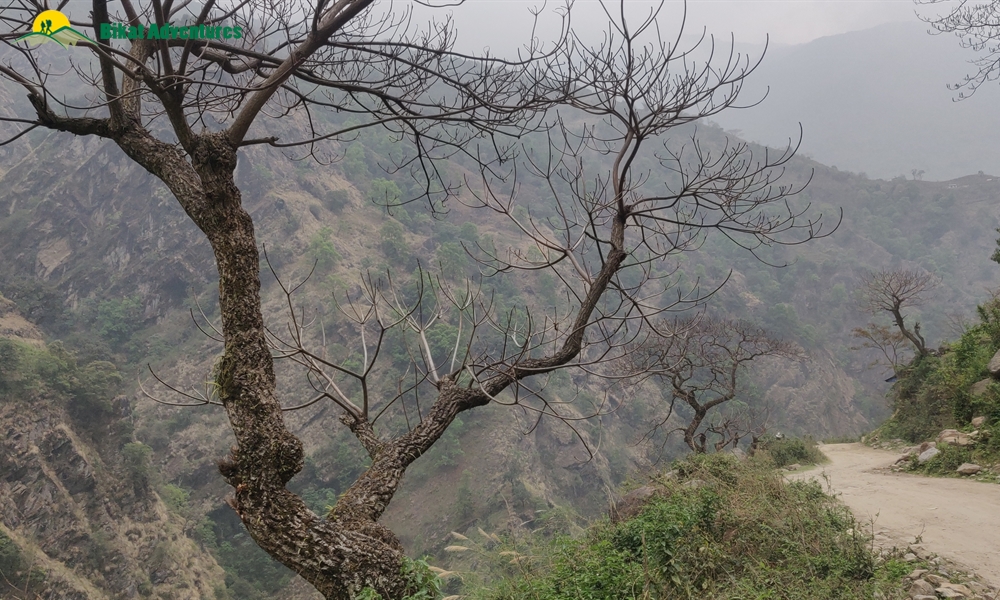 OUT, ABOUT and AROUND the ANNAPURNA MASSIF: A PHOTO STORY