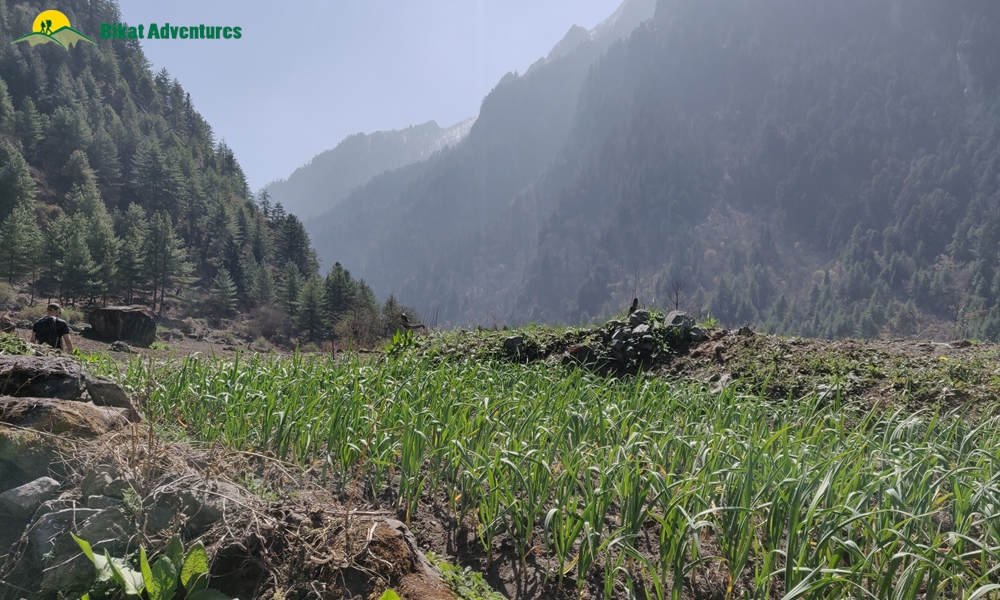 OUT, ABOUT and AROUND the ANNAPURNA MASSIF: A PHOTO STORY