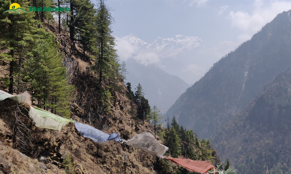 OUT, ABOUT and AROUND the ANNAPURNA MASSIF: A PHOTO STORY