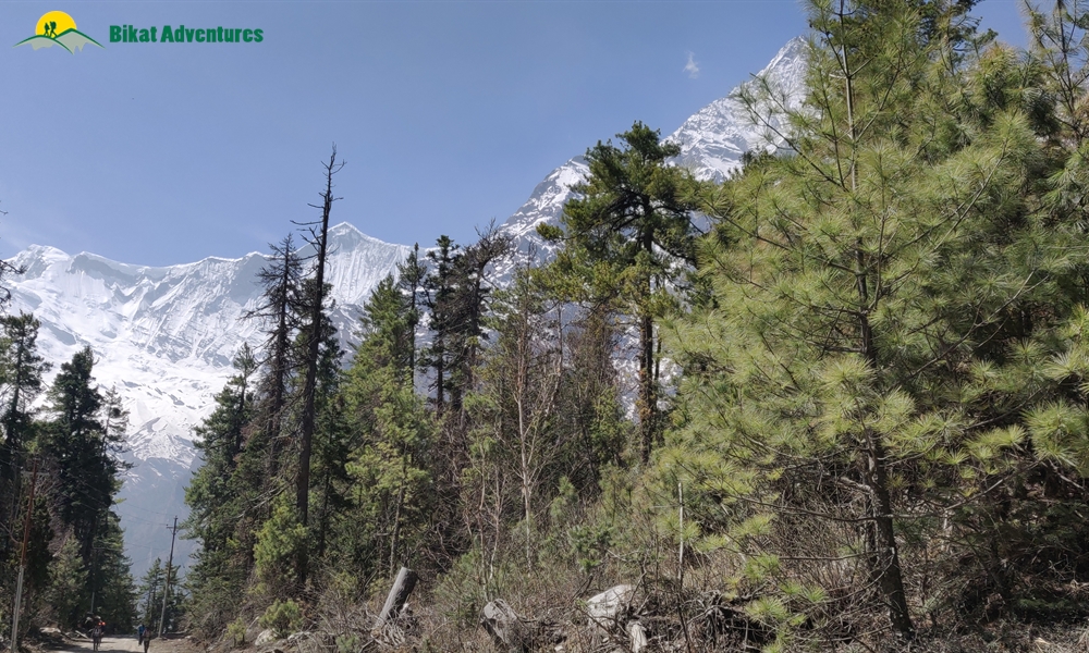 OUT, ABOUT and AROUND the ANNAPURNA MASSIF: A PHOTO STORY