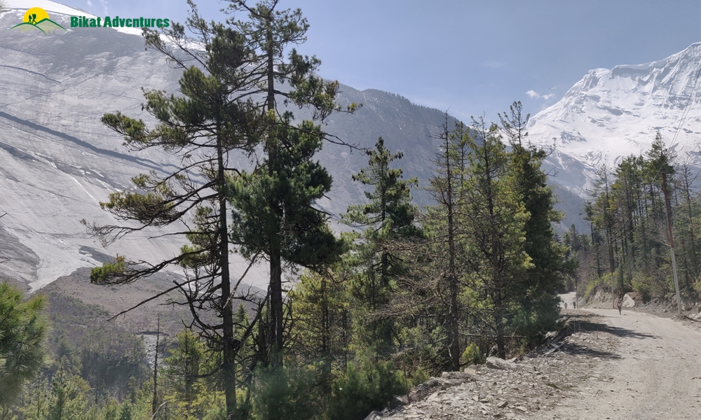 OUT, ABOUT and AROUND the ANNAPURNA MASSIF: A PHOTO STORY