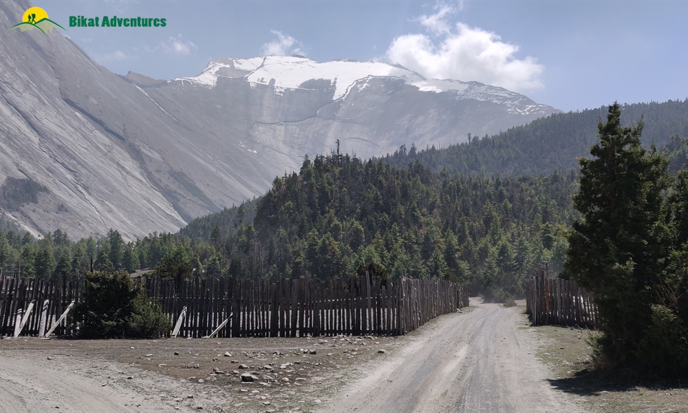 OUT, ABOUT and AROUND the ANNAPURNA MASSIF: A PHOTO STORY