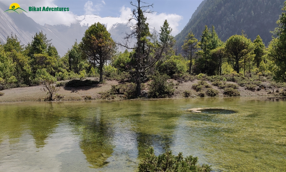 OUT, ABOUT and AROUND the ANNAPURNA MASSIF: A PHOTO STORY