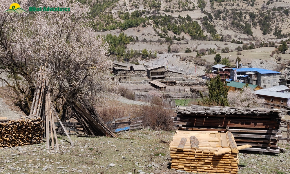 OUT, ABOUT and AROUND the ANNAPURNA MASSIF: A PHOTO STORY