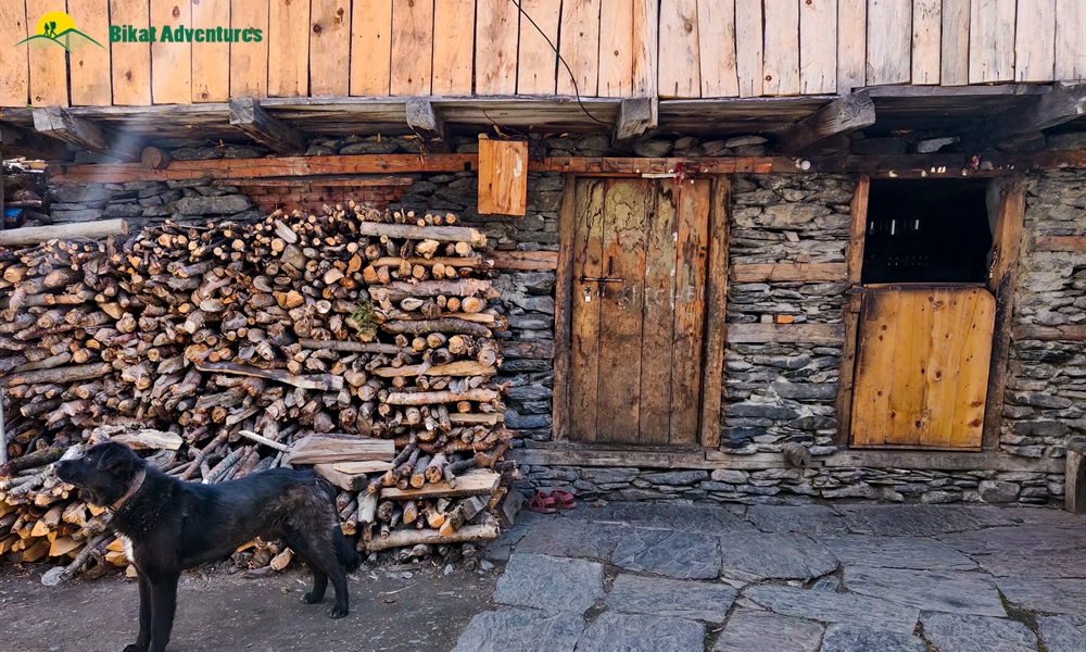 OUT, ABOUT and AROUND the ANNAPURNA MASSIF: A PHOTO STORY