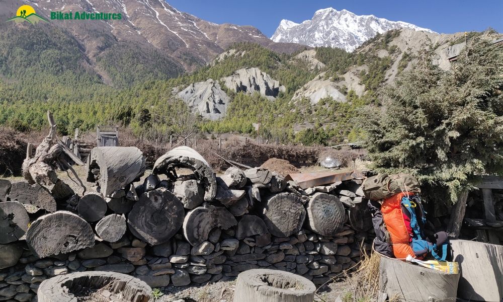 OUT, ABOUT and AROUND the ANNAPURNA MASSIF: A PHOTO STORY