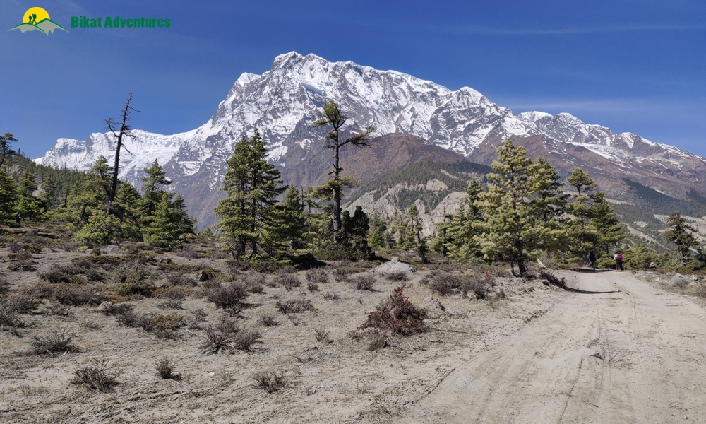 OUT, ABOUT and AROUND the ANNAPURNA MASSIF: A PHOTO STORY