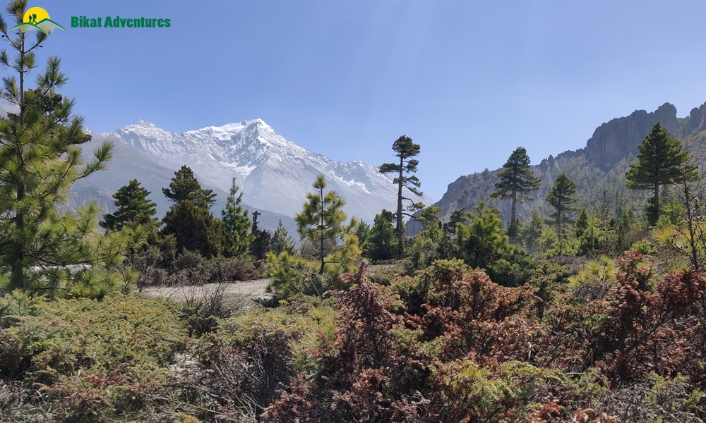 OUT, ABOUT and AROUND the ANNAPURNA MASSIF: A PHOTO STORY