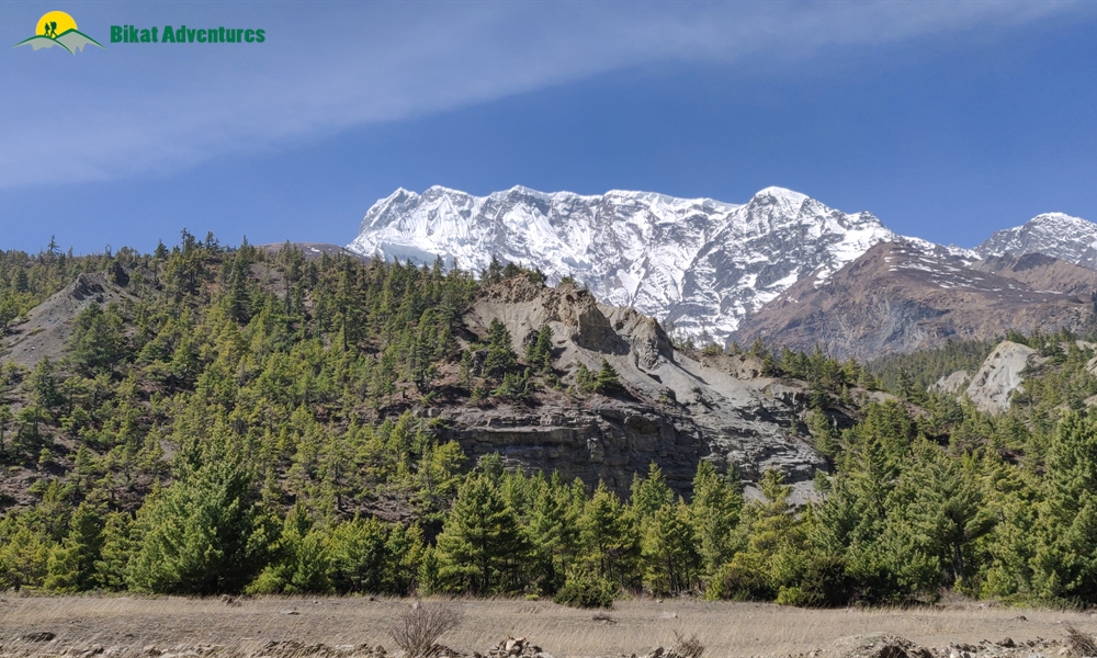 OUT, ABOUT and AROUND the ANNAPURNA MASSIF: A PHOTO STORY