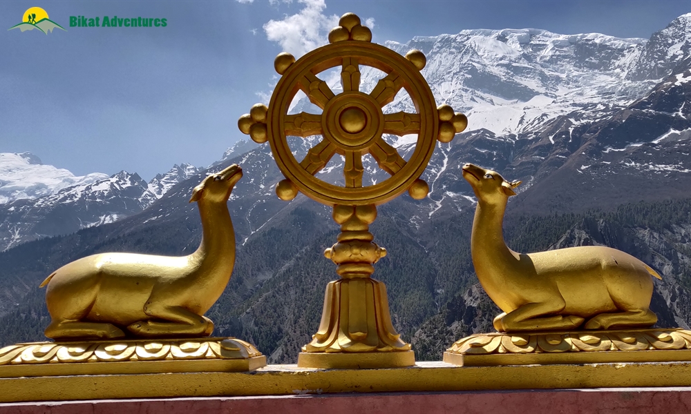 OUT, ABOUT and AROUND the ANNAPURNA MASSIF: A PHOTO STORY