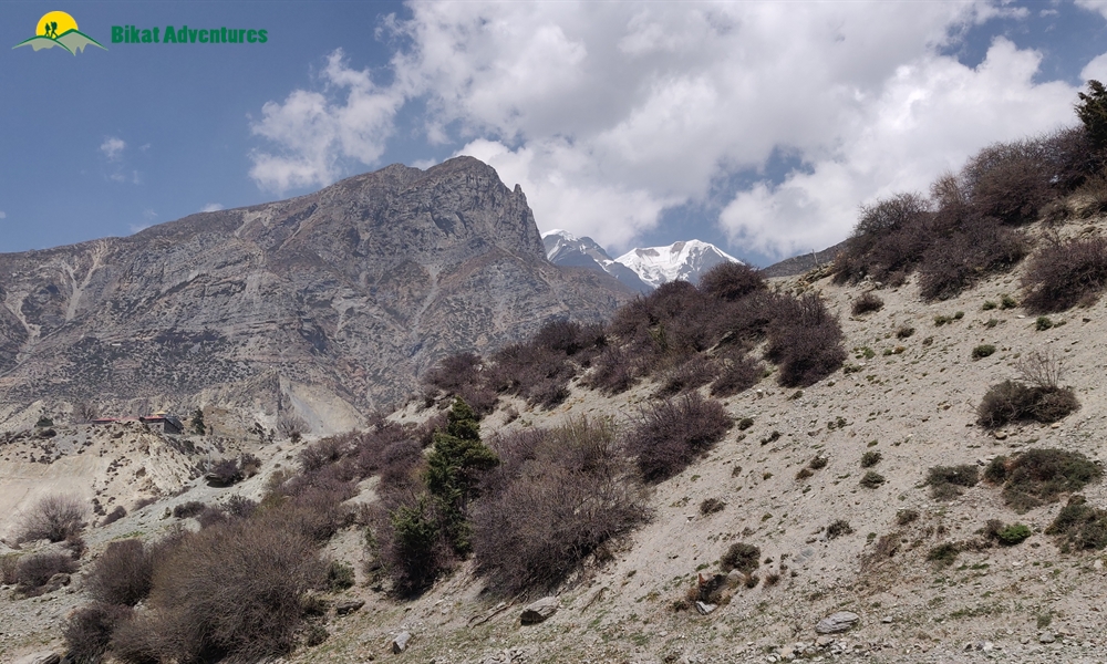 OUT, ABOUT and AROUND the ANNAPURNA MASSIF: A PHOTO STORY