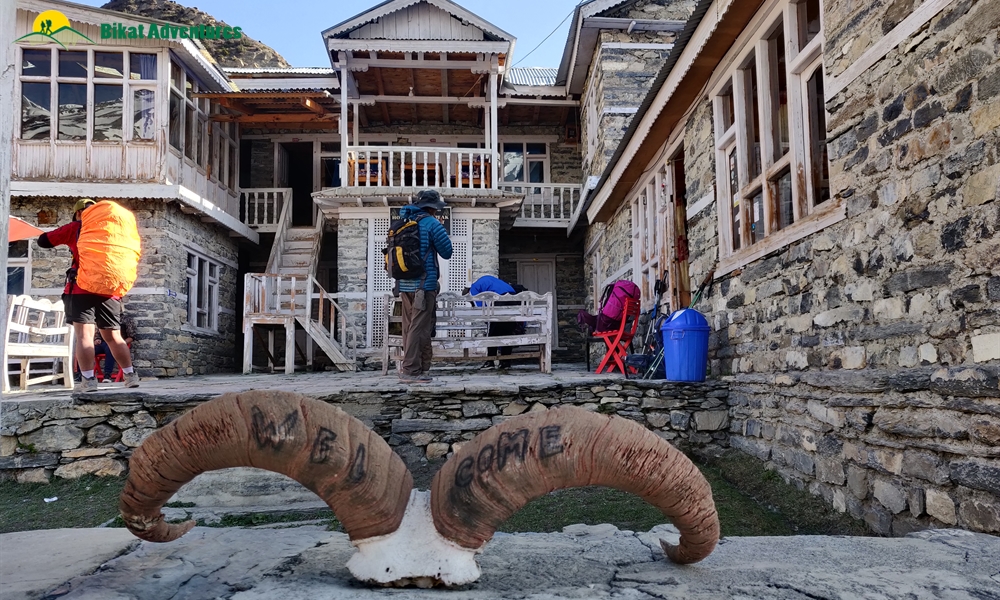 OUT, ABOUT and AROUND the ANNAPURNA MASSIF: A PHOTO STORY