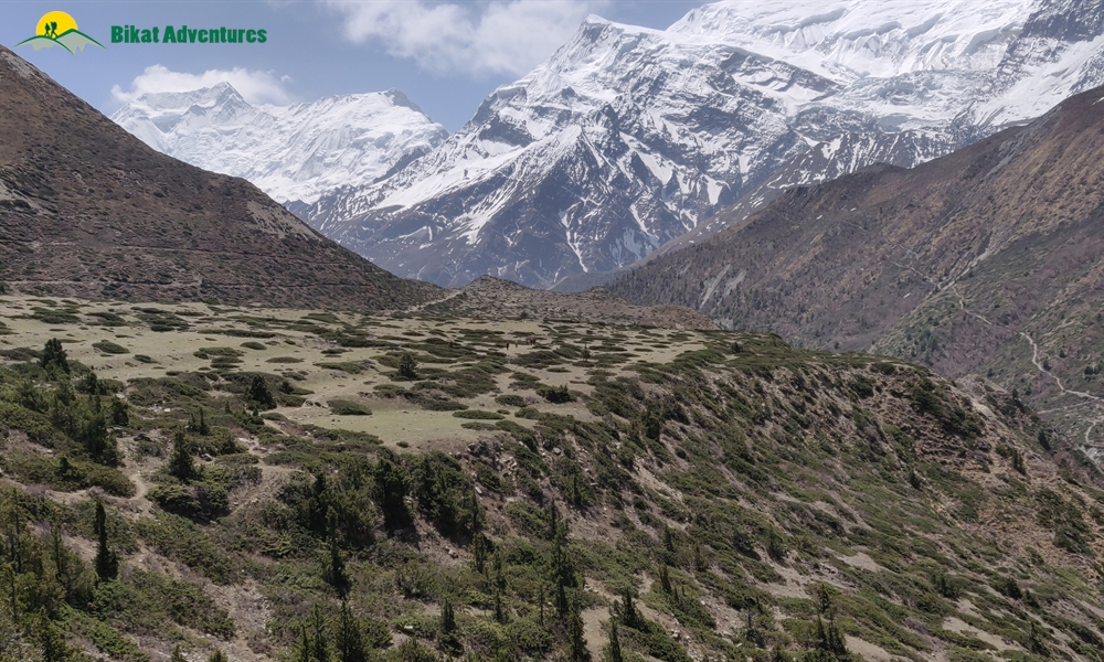 OUT, ABOUT and AROUND the ANNAPURNA MASSIF: A PHOTO STORY