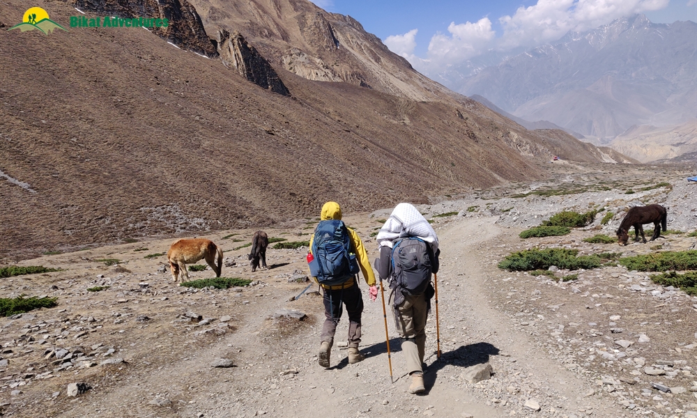 OUT, ABOUT and AROUND the ANNAPURNA MASSIF: A PHOTO STORY