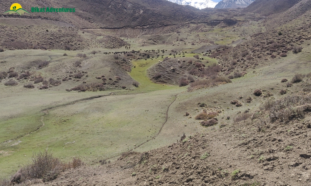 OUT, ABOUT and AROUND the ANNAPURNA MASSIF: A PHOTO STORY
