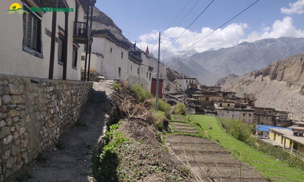 OUT, ABOUT and AROUND the ANNAPURNA MASSIF: A PHOTO STORY