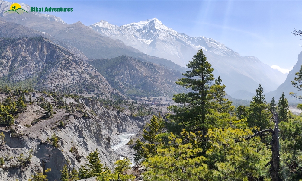 HIGHLIGHTS OF ANNAPURNA CIRCUIT TREK